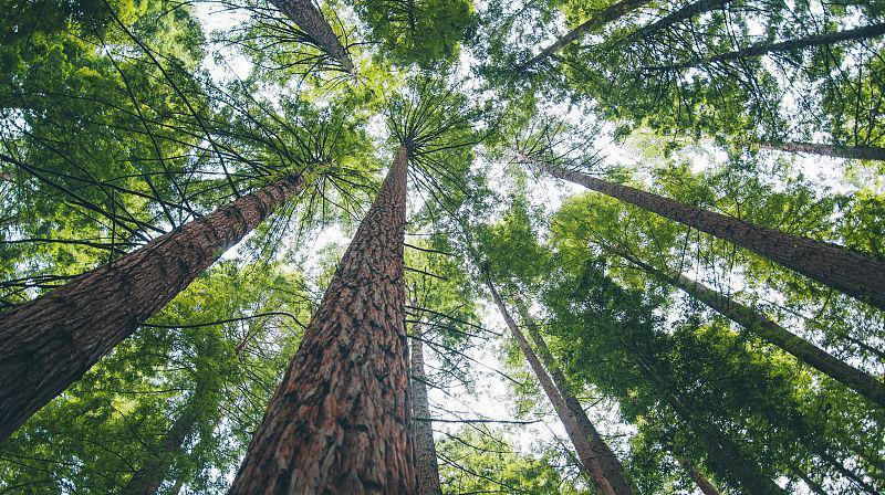  事业|15号后，运势大吉，喜多财旺事业兴的四大生肖!