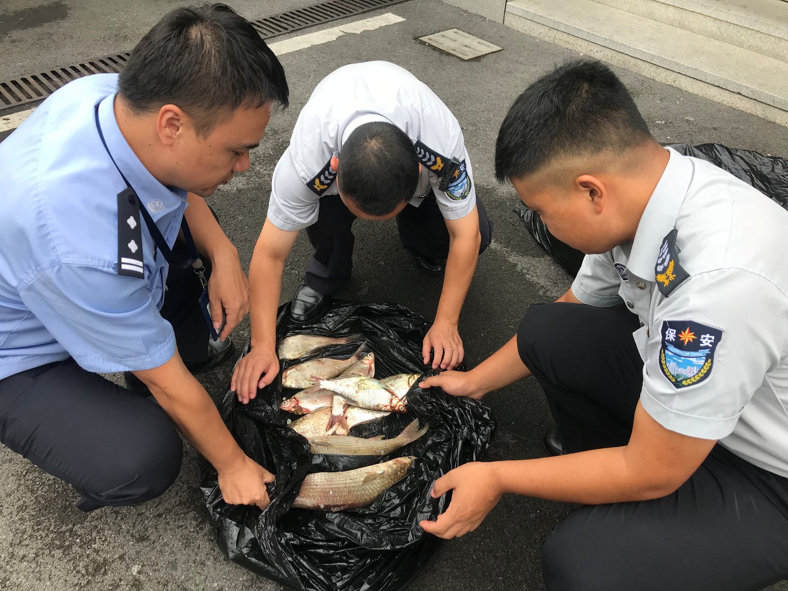  河上|围场河上的黑影——浦东警方抓获一名非法捕捞对象