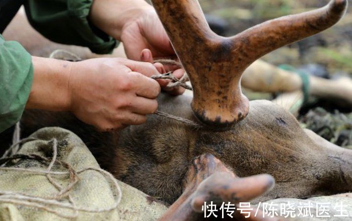 科学家发现逆转衰老关键进程(100岁时代加速到来？中科院发现衰老代谢物，多器官组织重获新生)