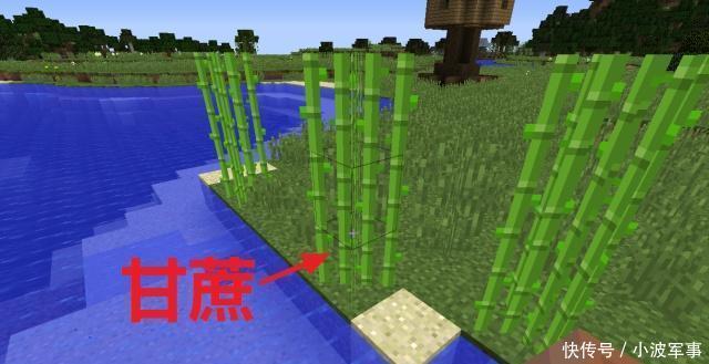 世界|我的世界有趣历史那些被改了名字的物品,虞美人到底是个啥