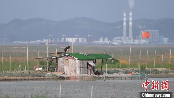 防汛|浙江沿海防台进行时：争分夺秒筑牢抗台防汛屏障