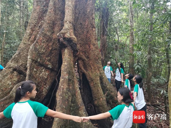  李艳朋|走进尖峰岭研学探秘热带雨林——植物原来这么聪明