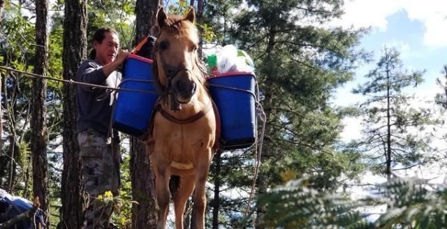 神山|无深度不云南——丽江巴拉神山徒步穿越攻略