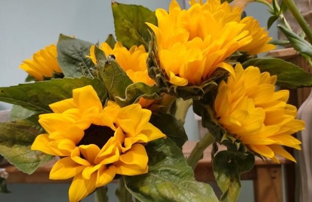  排行榜|十二星座男颜控排行榜，天秤座：颜值能当饭吃