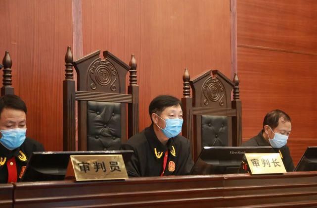 公开审理|公开审理！罗平又打掉一起涉恶势力犯罪团伙…