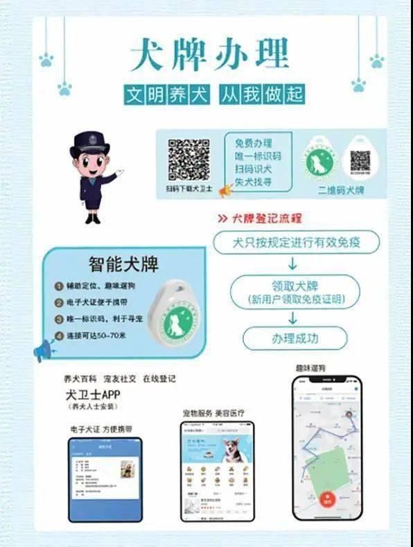 元以下罚款|我猜你闯不过第三关