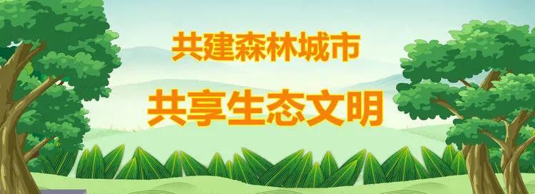 违法行为|【创城进行时】 违停，罚！ 你的车辆还敢乱停乱放吗？