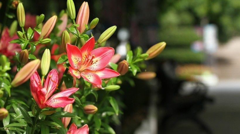  四大|两周后，面对爱情十分高冷，内心缺乏安全感，羞于表达的四大生肖