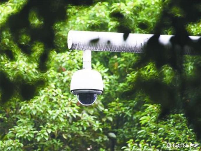  车主|半路被交警拦下，罪名为“故意遮挡车牌”，车主：它是飞来的！