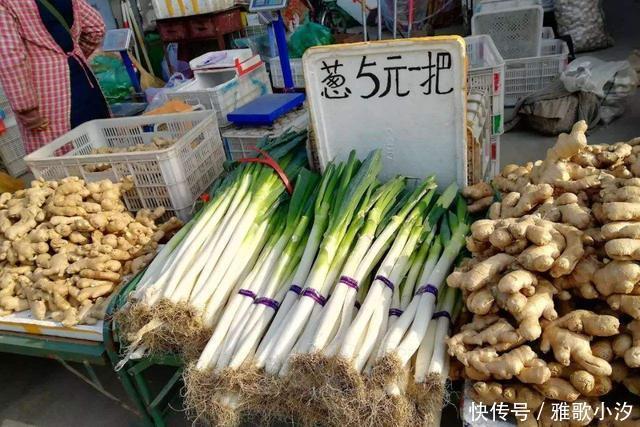 南方人|看南方人买菜的日常,还以为是段子呢,哈哈哈哈……