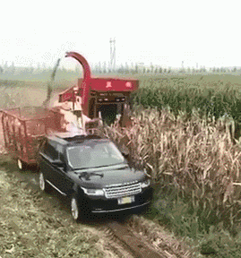发现|搞笑GIF：发现一个很皮的大象