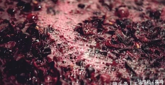 高价|别卡速:低价酒与高价酒的本质区别在哪里【红酒知识36】