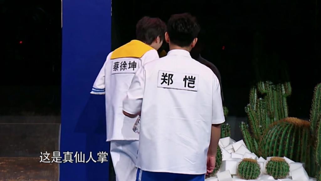  弟弟|奔跑吧:anglebaby“失散多年的弟弟”找到了，蔡徐坤:我……