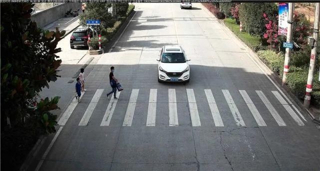 驾驶机动车违反道路|泰顺这些车主被曝光！