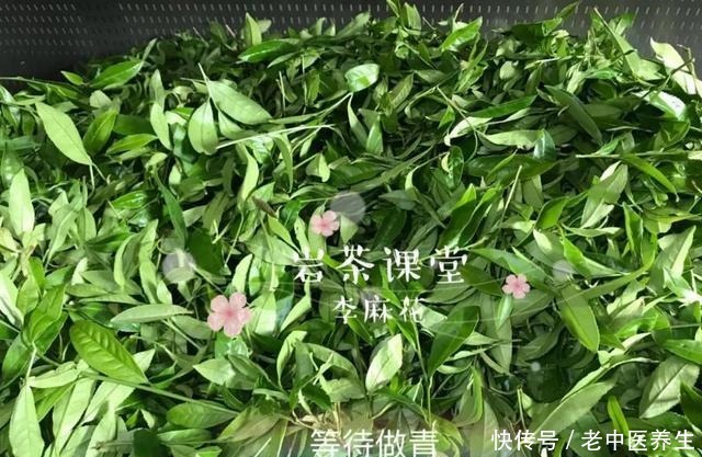 喜欢|喜欢喝武夷岩茶的你,听说过岩茶里的“倒青”吗