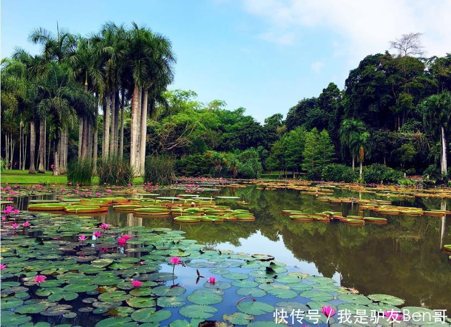  西双版纳|收藏！云南五天私人定制之旅