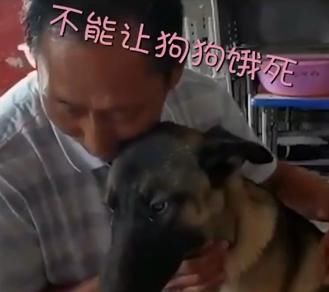  小可爱|这些小可爱是真实存在的吗？