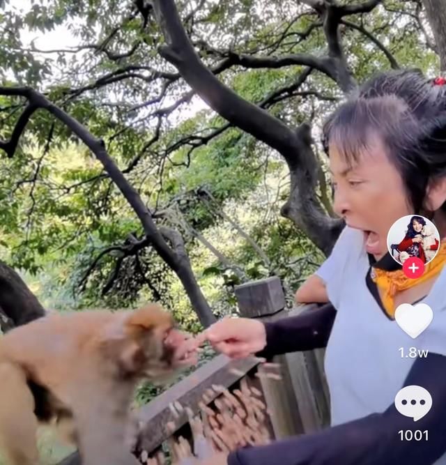  尽显|57岁李勤勤近况曝光，白发尽显毫无星味，险被野猴抓大叫显狼狈