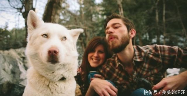 些狗狗|狗狗为什么会出现嫉妒?让狗狗嫉妒的三个原因,你家狗狗属于哪种