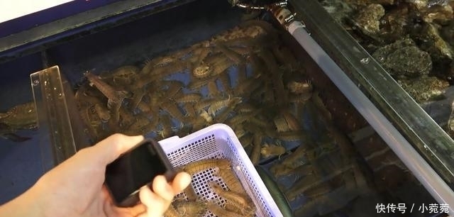 吃法|日本小伙买了5斤皮皮虾,看到他的吃法,估计没几个人能吃得下的