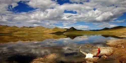  死亡|南京大学生在青海无人区死亡，是什么原因让她去那里呢？