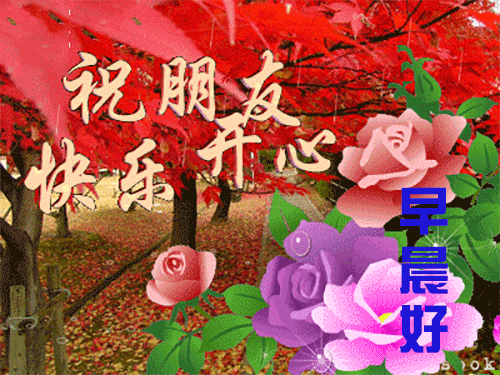  乌龟|别笑乌龟傻，人家懂八卦；别笑蜗牛笨，人家有房又有家，早安