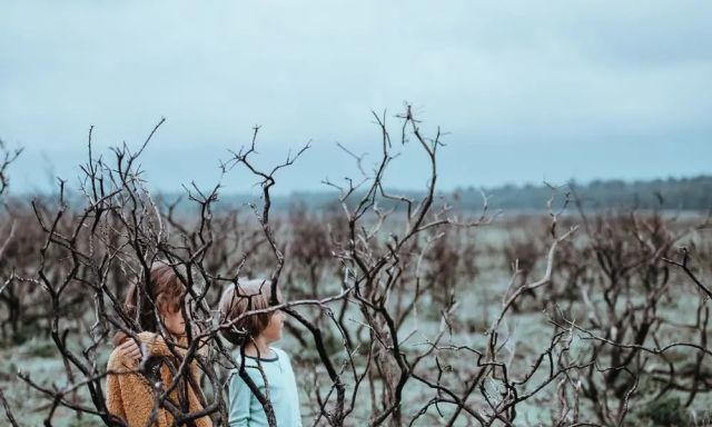  妈妈|孩子争宠，为什么我不建议一碗水端平？