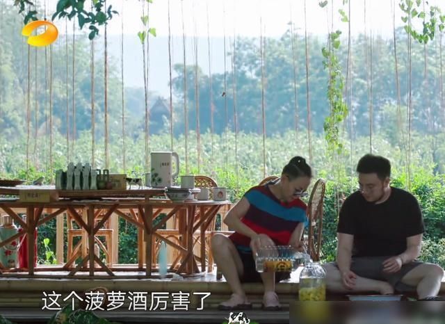  有无|《向往的生活》有无下一季？宋丹丹酿菠萝酒，何炅第一反应引热议