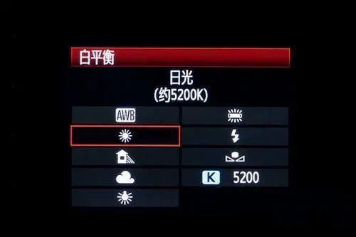  模特|【摄影讲评】顺光、侧光、逆光怎么用 第1268讲？