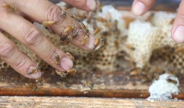  科大学第|让数据多跑路，患者少跑腿，这家医院是怎么做到的？