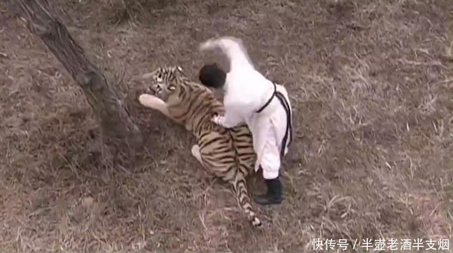  吊睛|传说中有三头吊睛白额猛虎，武松打了一头，另外两头被谁打了？