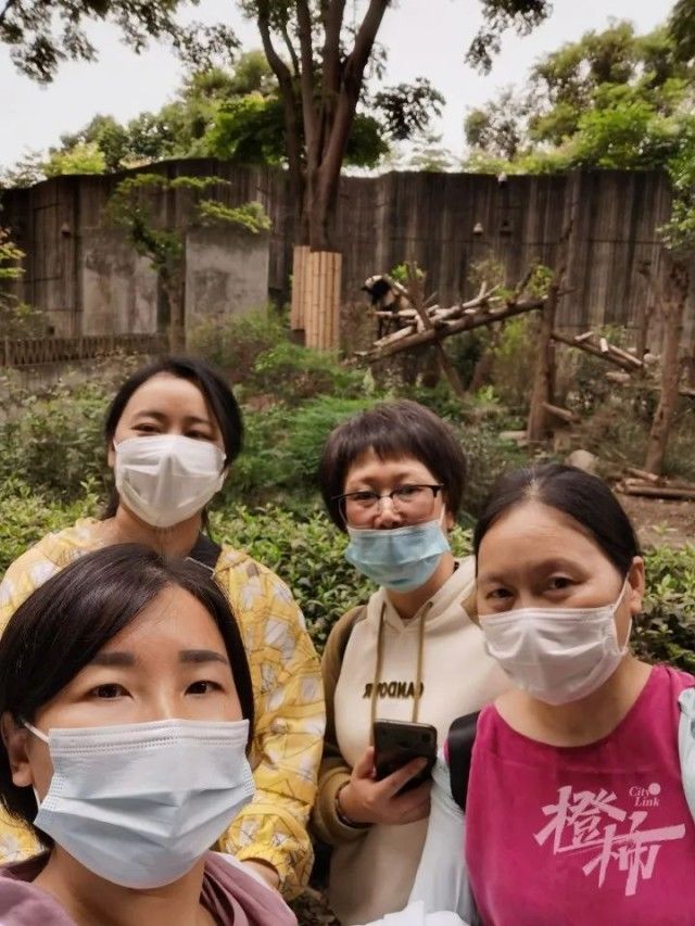 没看成熊猫“花花”，却成功救人！景区：终身免费来看