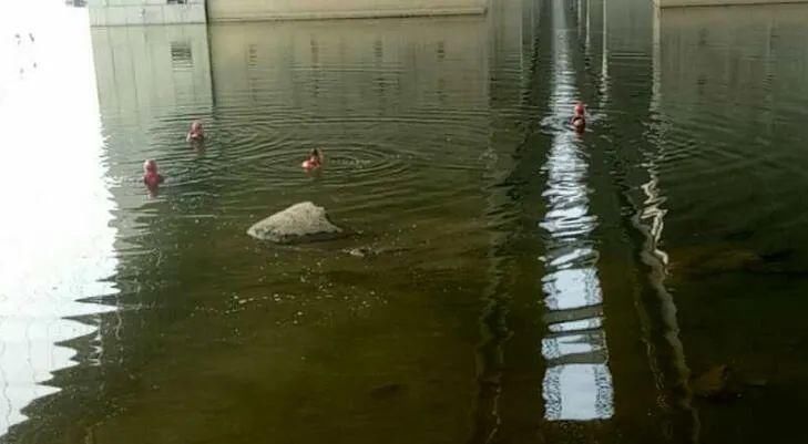  溺水中学生|悲剧！又一起！洛阳家长注意....