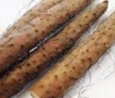  推荐|煲汤食材怎么搭配？夏日炎炎，推荐4款不同体质饮用的养生汤