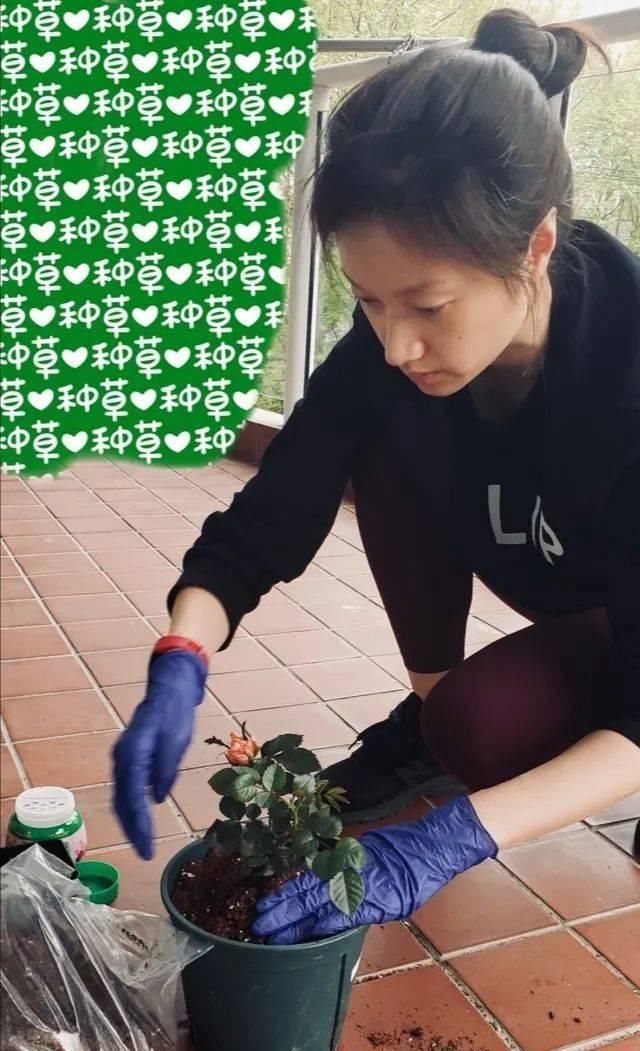 皮肤|沈佳妮晒照从不修图，真实皮肤是蜡黄色，却更有一种朴素的美！