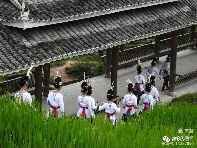 一年一度|一年一度吃新节来了，你想体验吗？