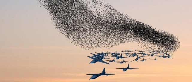 威力|中国罕见亮出“杀手锏”,威力之大让美国自愧不如,俄:藏得太深