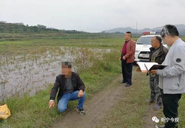 刑事|新宁一村民非法捕鸟，被强制采取刑事措施