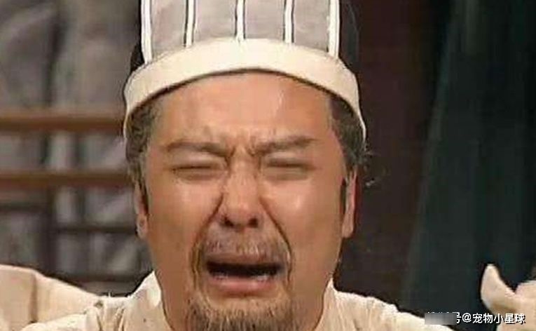 不已|刘备是个伪君子?张飞死后四个字暴露真面目,诸葛亮听后寒心不已