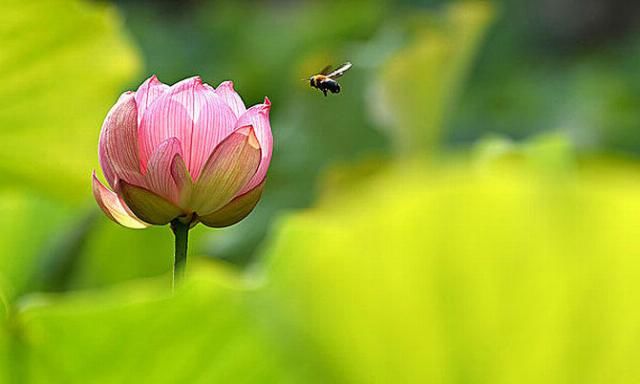  下旬|7月下旬，财运畅通无阻，3大属相贵人登门，十人有九富