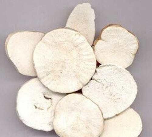 学识|学识《中华本草》天花粉