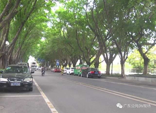  入车内|生死半小时！女子路边停车后睡了一觉，再没醒来!