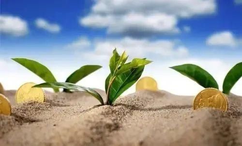 结出|我种下一颗种子，最终结出了谁的果实？