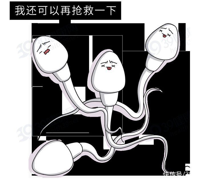 没受孕的精子最终会怎样(进入女性体内后，没有成功受精的精子，都怎样了？既好笑又心疼)