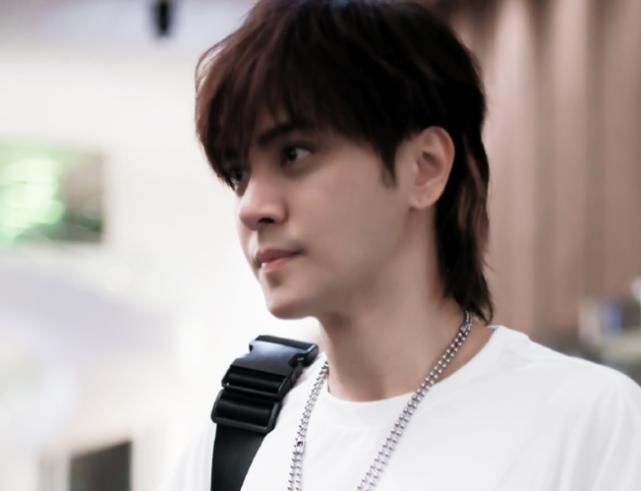 演员|歌手不唱歌、演员没作品的代表;全靠“综艺”撑热度的明星都有谁