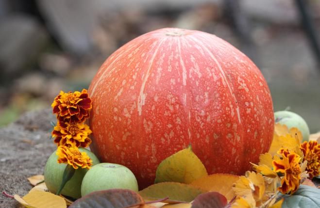 南瓜|便宜又常见的南瓜竟然有这么多好处，以前真是小看它了！