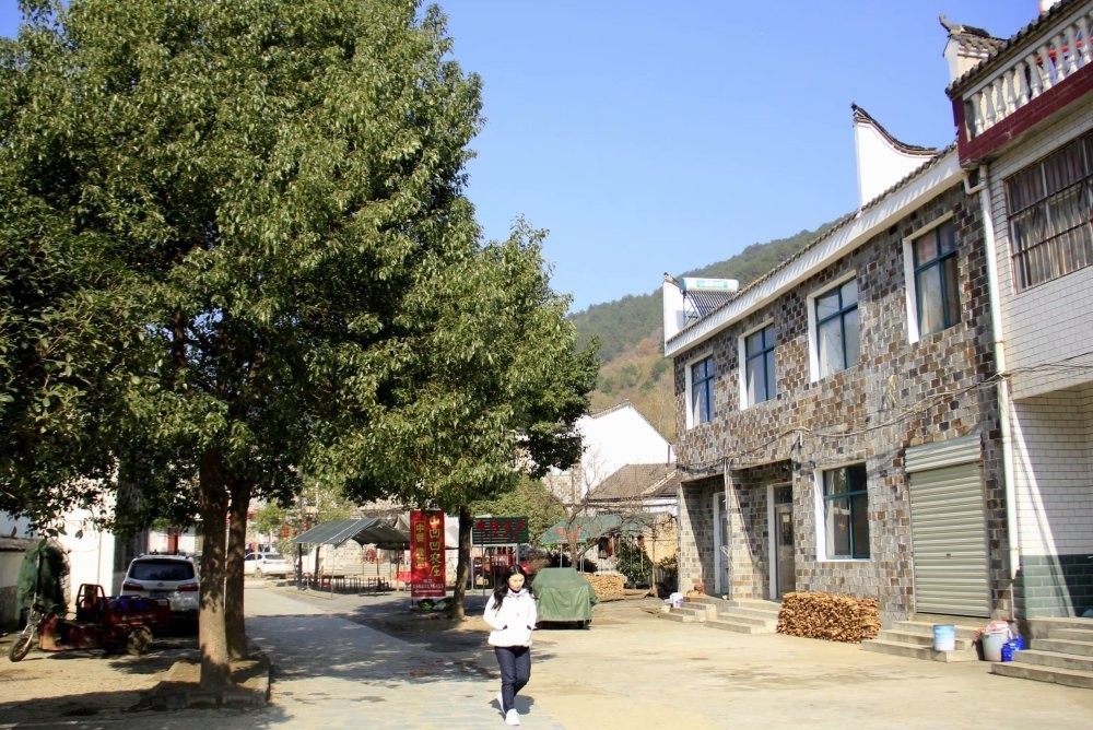  第一村|武汉抗战第一村——黄陂区姚家山村