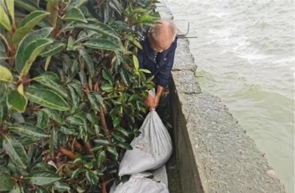 雷暴|雷暴黄色 + 暴雨黄色！无锡人出门注意了！