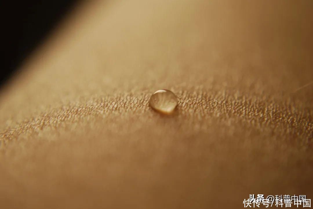 最先进的假肢仿生技术(中国科学家的新突破：让假肢“长”出它自己的皮肤！)