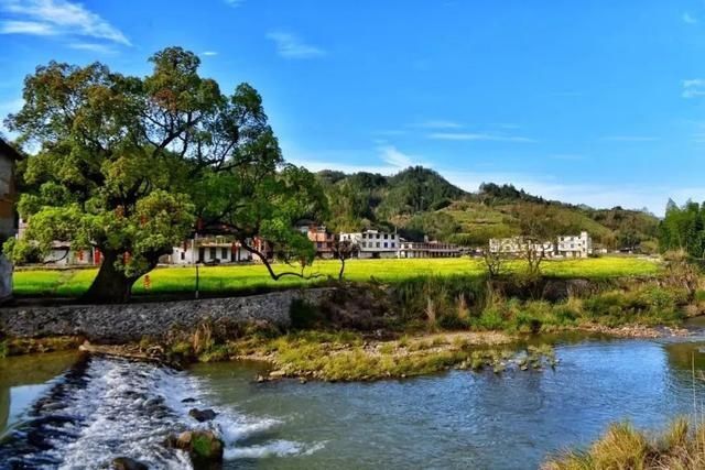  涌溪上涌段|这里让人艳羡的绝不止“中国白”，还有如画山水、富美田园